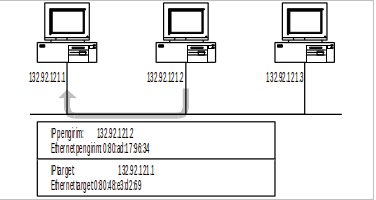 Arp3.jpeg