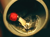 Img 4476 thn.jpg