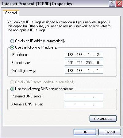 Ping1.jpg