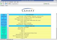 Canopy-slave-01.jpg