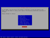Instalasi-ubuntu-10.10-server31.png
