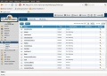 Thumbnail for version as of 14:41, 31 December 2010
