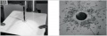 Thumbnail for version as of 08:01, 17 December 2008