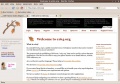 Thumbnail for version as of 07:33, 27 December 2009