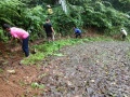 Thumbnail for version as of 06:04, 27 June 2021