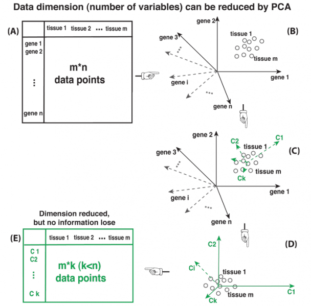 File:PCA 2.png