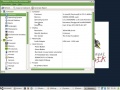 Thumbnail for version as of 21:44, 20 January 2011