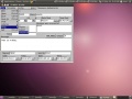 Thumbnail for version as of 09:47, 14 May 2010
