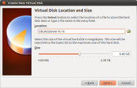 Virtualbox-run8.png
