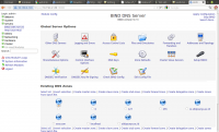 Webmindns1.png
