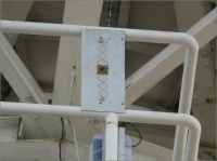 Ant-8-quad-2.jpg