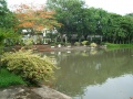 Thumbnail for version as of 06:14, 27 February 2008