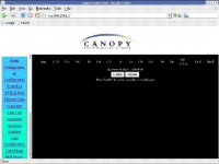 Canopy-aim-03.jpg