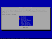 Instalasi-ubuntu-10.10-server30.png