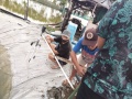 Thumbnail for version as of 08:14, 28 August 2021