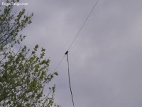 Balun22.jpeg