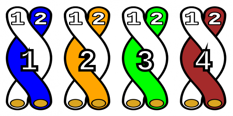 File:4 twisted pairs.png