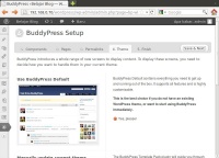 Wordpress-bp-4.jpeg