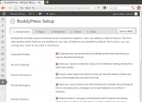 Wordpress-bp-1.jpeg