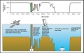 Atmospheric electromagnetic transmittance or opacity.jpg