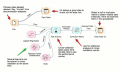 Thumbnail for version as of 06:40, 8 January 2020