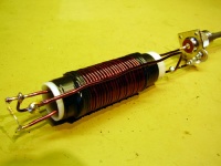 Closeup2.jpg