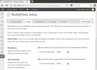 Wordpress-bp-2.jpeg