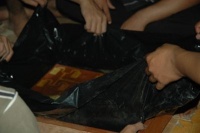 Normal dsc 2373.jpg