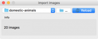 ImportImages.png