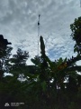 Thumbnail for version as of 14:59, 15 January 2021