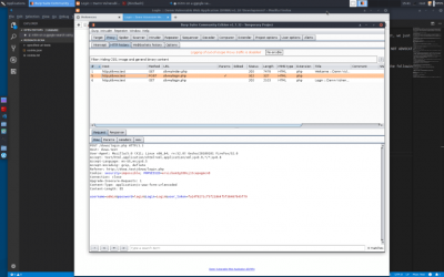Dvwa-login-page-parameter-intercept.png