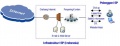 Thumbnail for version as of 06:31, 15 January 2011