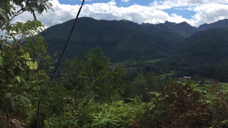 File:Puncak.jpeg