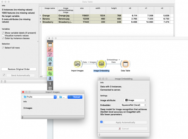 ImageEmbedding-Example1.png