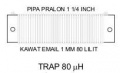 Thumbnail for version as of 19:28, 7 February 2008