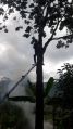 Thumbnail for version as of 19:02, 14 July 2022