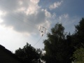Thumbnail for version as of 05:20, 15 October 2014
