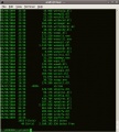 33462 1359984494772 1686336794 743352 1287692 n.jpg