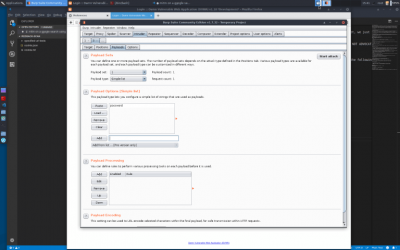Dvwa-intercept-wordlist.png