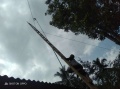 Thumbnail for version as of 14:58, 15 January 2021