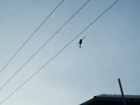 DSCF8490.JPG
