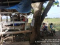 Thumbnail for version as of 13:07, 15 January 2021