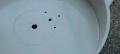 Thumbnail for version as of 11:05, 27 January 2010