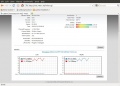Thumbnail for version as of 21:57, 30 December 2010